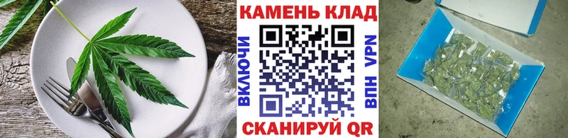 Canna-Cookies марихуана  Александровское 
