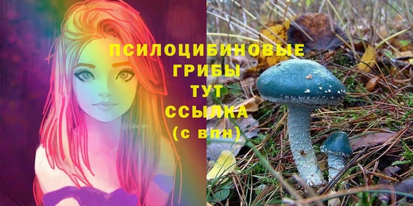 ешки Алзамай