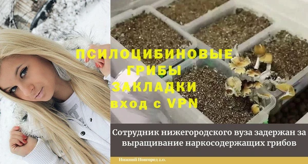 гидропоника Балабаново