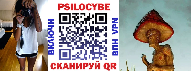 Псилоцибиновые грибы Psilocybine cubensis  сайты даркнета телеграм  Александровское 